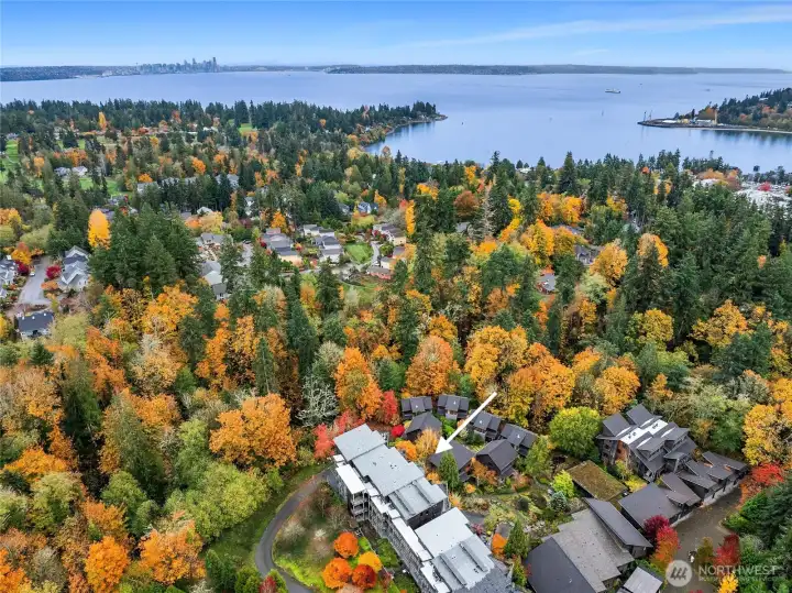 Vineyard Lane community is very close to the Bainbridge to Seattle ferry. An easy walking path has been created to take you right the corner for the ferry or into town for shops, cafes, high end grocery stores and the waterfront park. You can see Seattle across the Sound- only 35 min away.