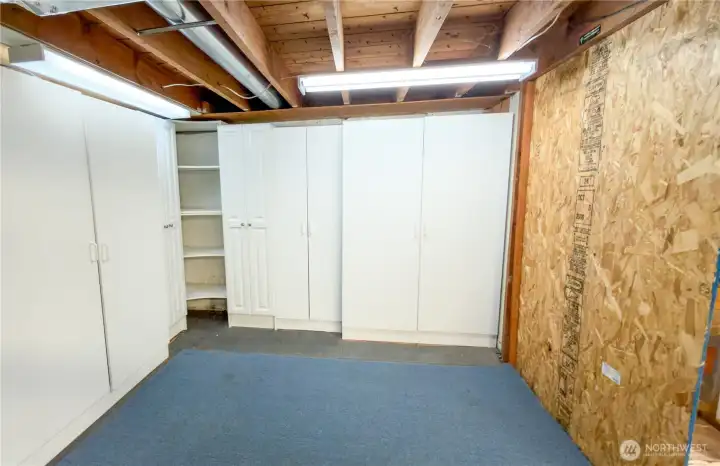 Basement Storage