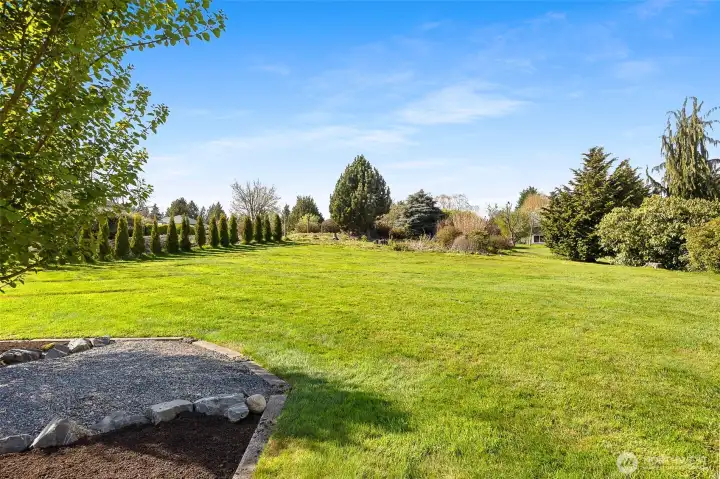 Park like setting backyard.