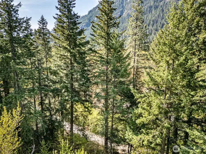 Possible Future View 1