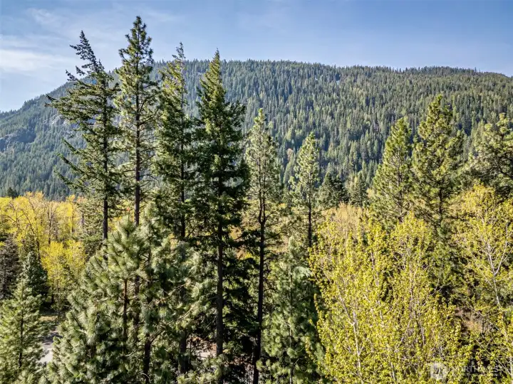 Possible Future View 2