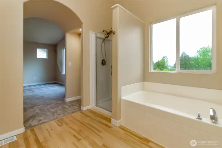 Soaking Tub & Shower in Masterbath.