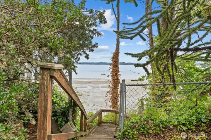The stairs that lead you to the fire pit and dock