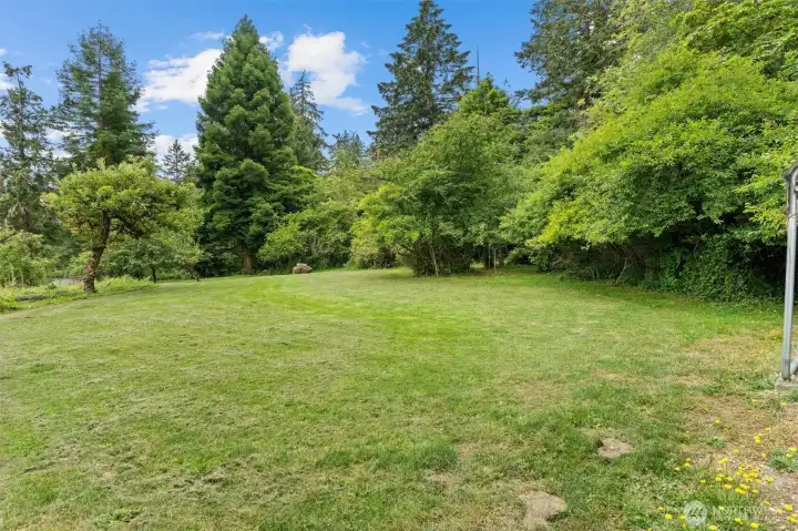The 2 lots across the street, with fruit trees