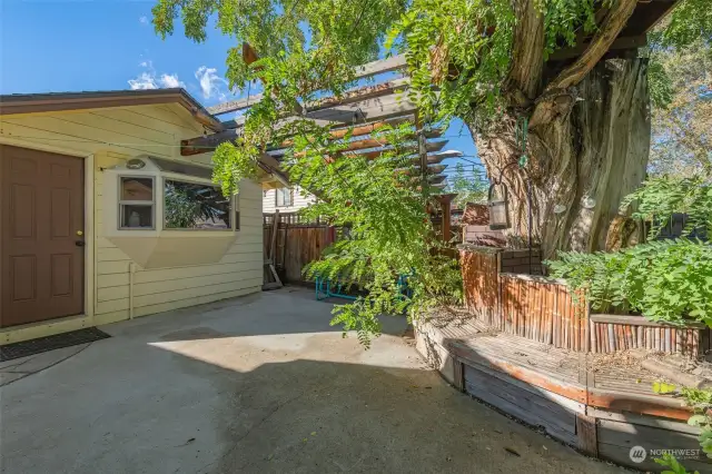 Bench Seating built into Patio Space around Tree that Lends Shade in the Summer