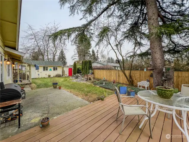 Wonderful deck and back yard, Perfect for summer time.