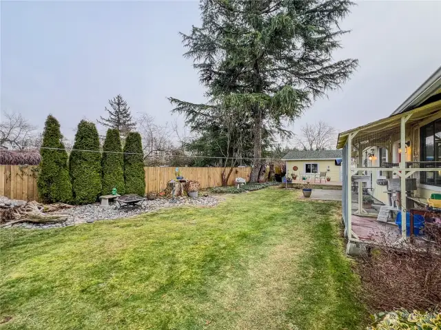 Another view of the spacious back yard.