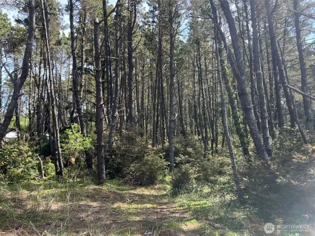 Northeast facing
