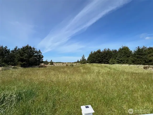 West facing WUB