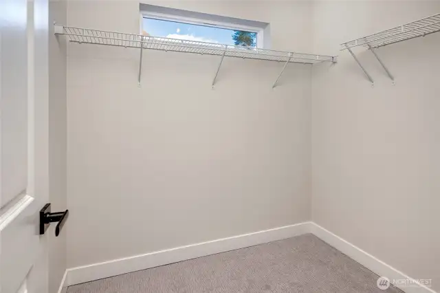 Walk-in closet (Model Home Lot C101)