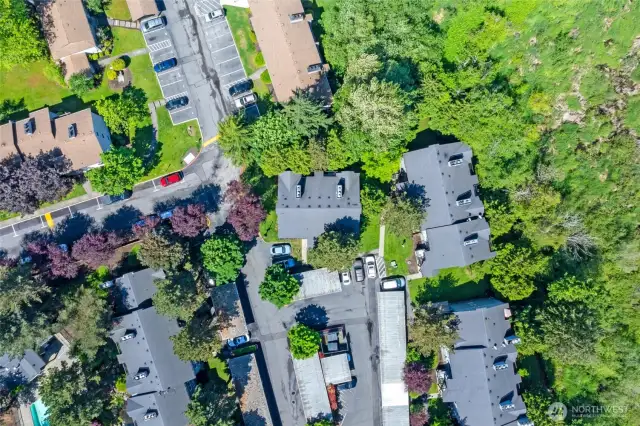 Aerial.