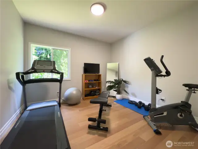 Bedroom #4 in Basement