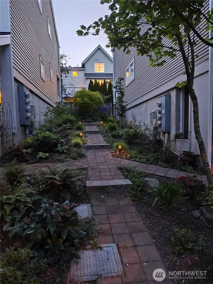 Side Yard