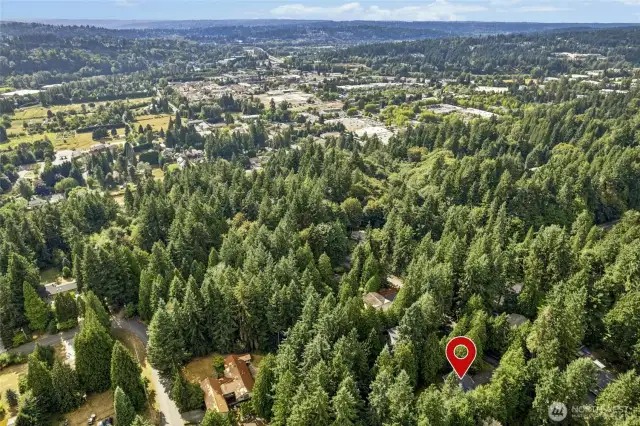 Close to downtown Woodinville and Wine Country! Several walking trails too!