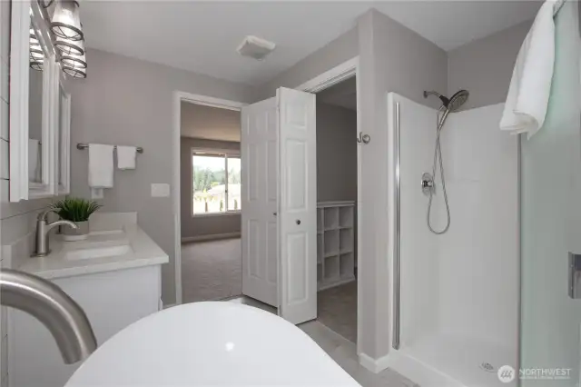 Separate shower and walk-in closet