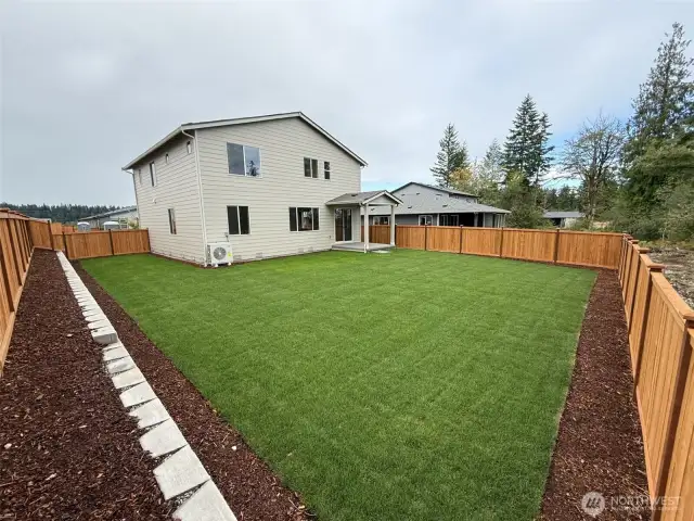 Massive backyard
