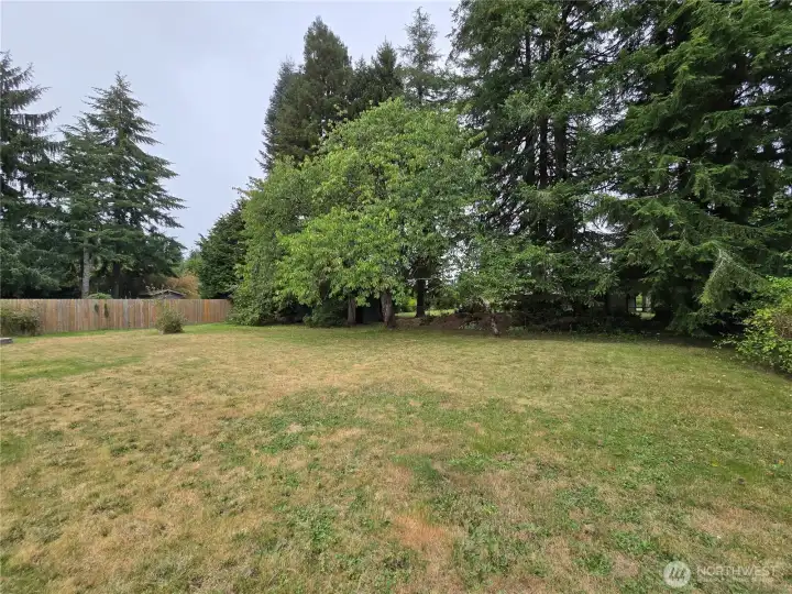 Spacious Backyard