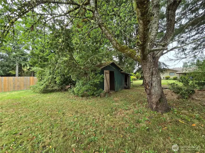 Outdoor shed and fruit trees