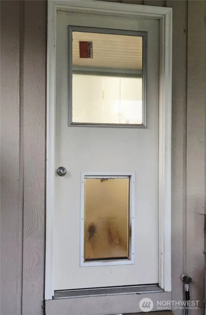 Big dog door in the combo mud/utility/.5 bath off the covered patio.