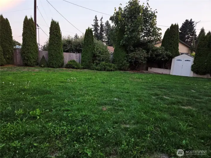Large back yard.