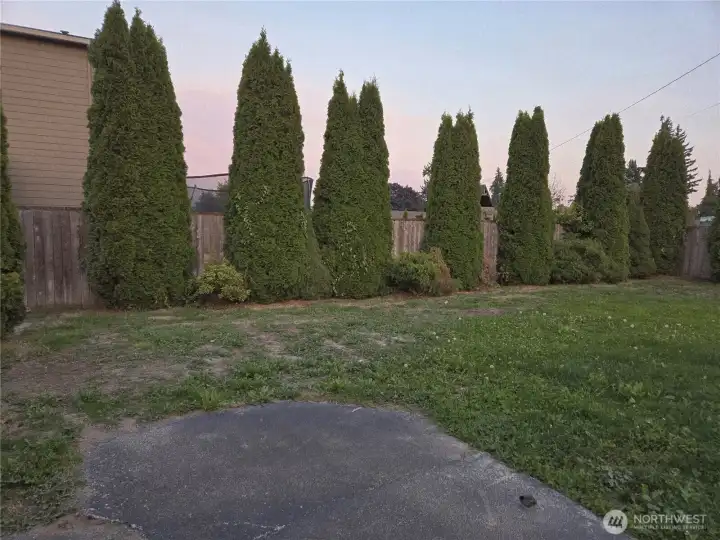 Mature privacy landscaping.