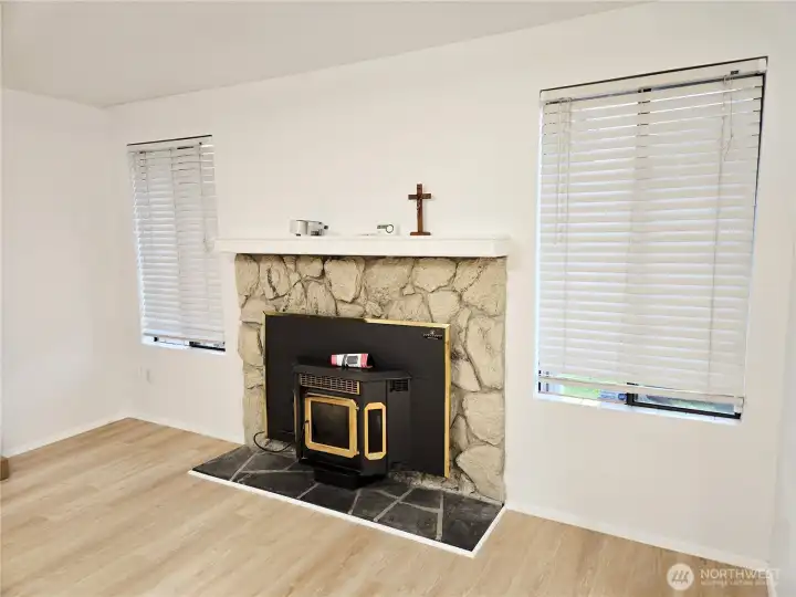 Pellet insert in the living room fireplace.