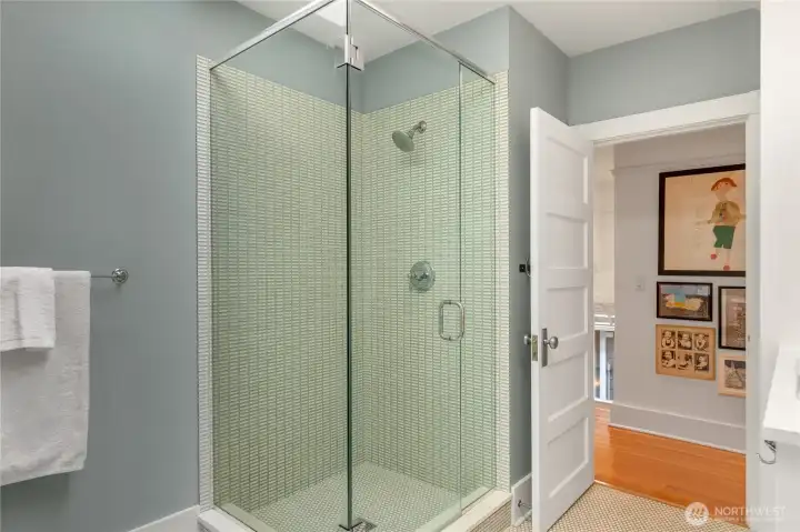 and modern spa shower