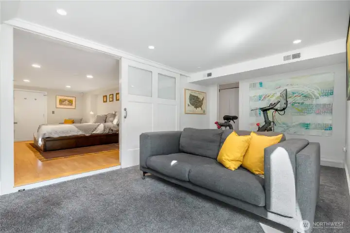 Lower level rec room and separate guest suite with 3/4 bath