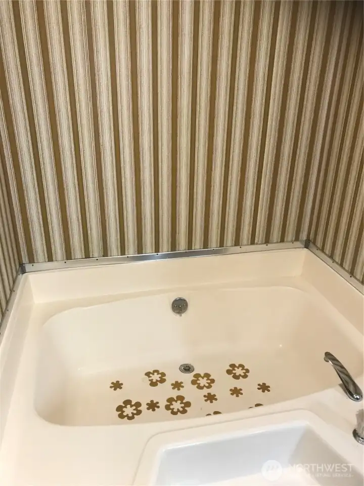 Large soaking tub (there is also a separate shower)