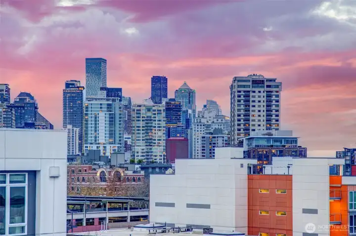 City view to the South