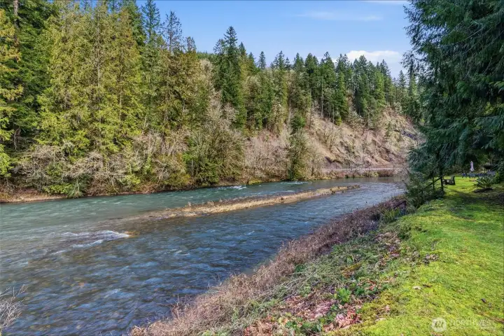 375' of Kalama River Frontage - Catch Your Dinner Every Night!