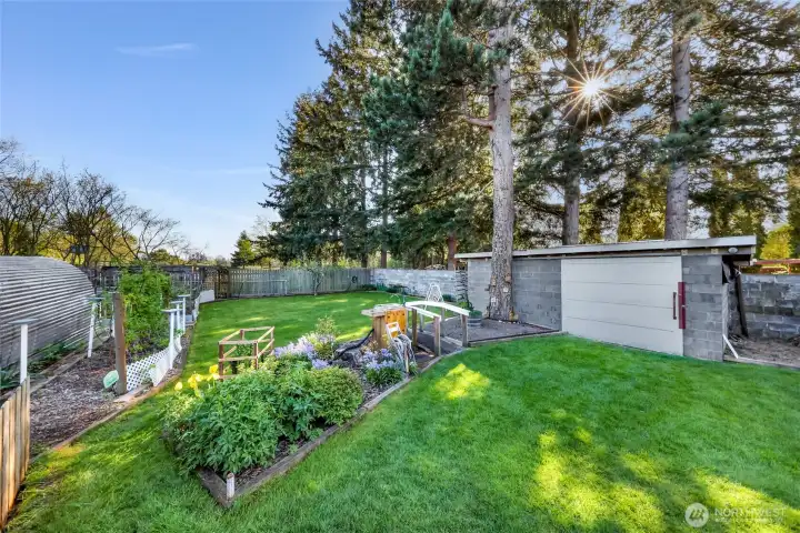 Massive trees and the "Stone House" looking south