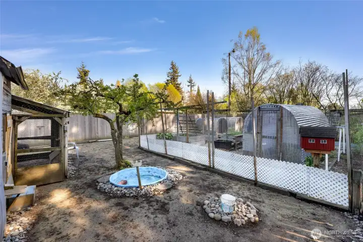 Greenhouse surrounded by raised beds and a safe place for your feathered friends