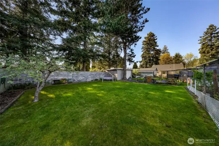 A place for future plans?  City of Bellingham said this site qualifies for 4-6 additional homes