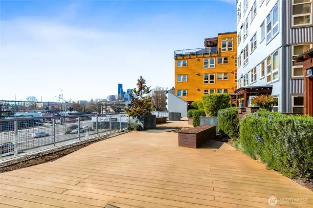Community Roof Too Deck with Views is Downtown Seattle