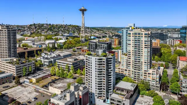 The east side of the roof top deck has views of the Space Needle and Seattle Center
