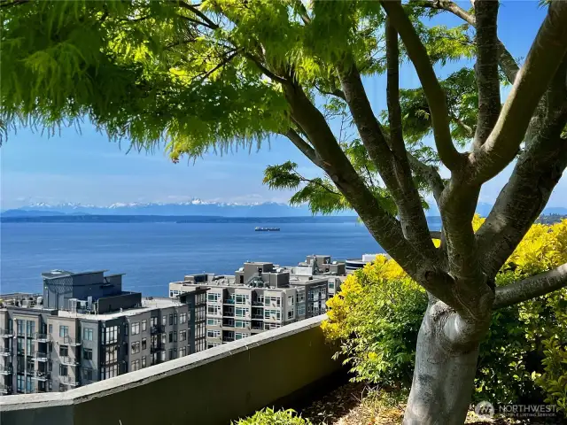 Another angle from the roof top deck.