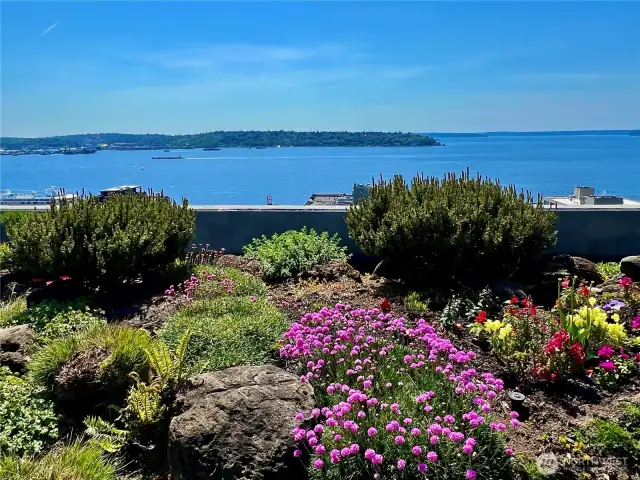 Some of the gardens and the Sound.
