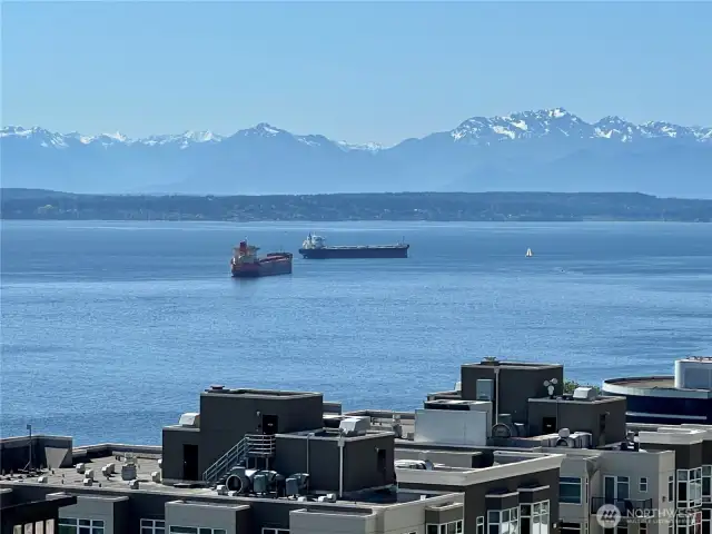 Watch the boating traffic come into the Bay. Always changing.