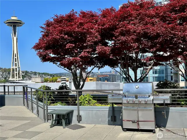 A view from the deck showing the Space Needle and one of several grills.