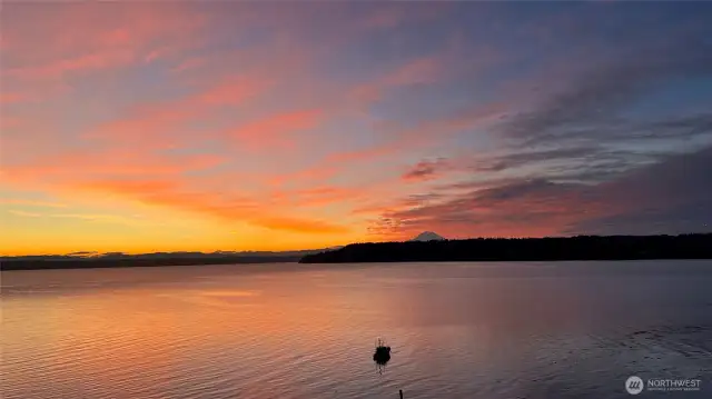 Mt Rainier Sunsets