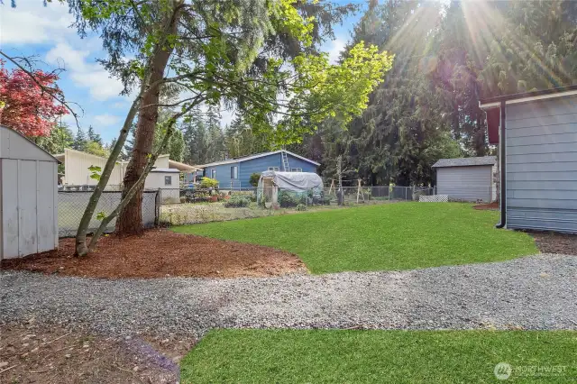 Back Yard