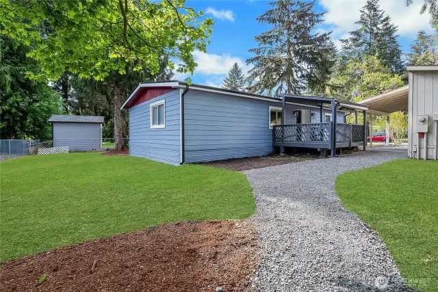Large Back Yard