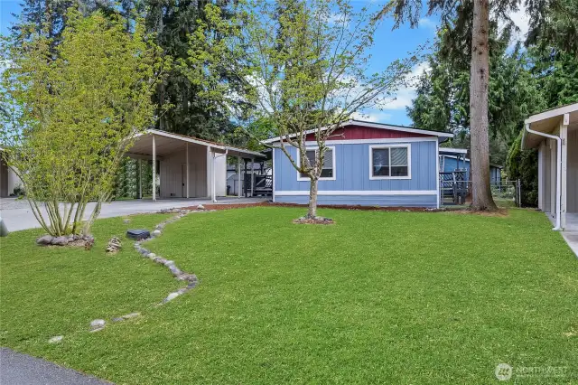 Large Front Yard