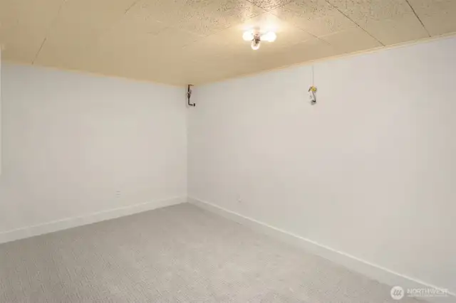 Downstairs storage or flex space