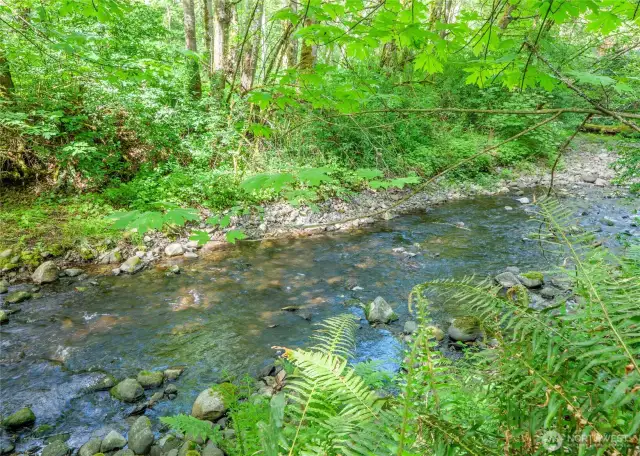 Back Yard Creek
