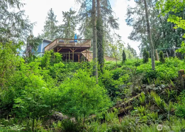 View of house from creek