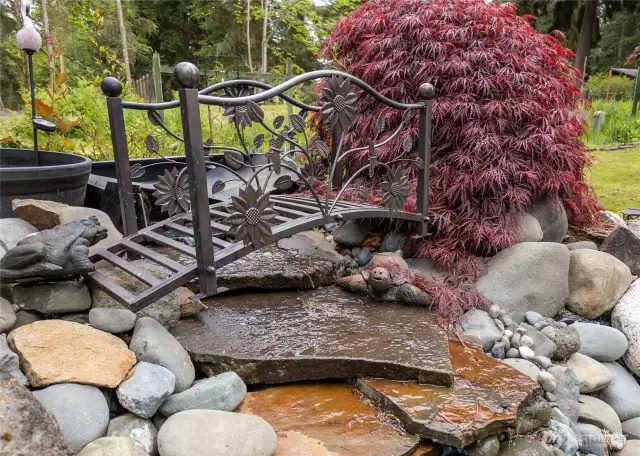 Koi Pond