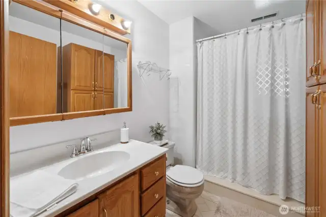 Full Bath: Downstairs