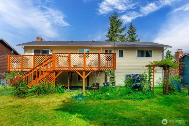 Huge Backyard with fruit trees!